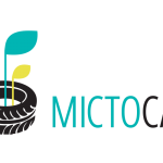 У Бучі, Бородянці та Ірпені українські захисники висадять сади