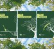 Догляд за деревами Київ адаптує до євростандартів