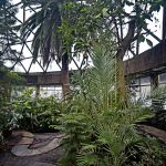 У зоопарку облаштували оранжерею з басейном для зимівлі рідкісних теплолюбних птахів (+ ФОТО)