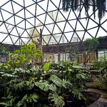 У зоопарку облаштували оранжерею з басейном для зимівлі рідкісних теплолюбних птахів (+ ФОТО)