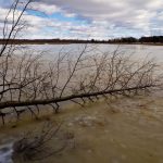 Льодові зажори спричинюють затоплення річкових заплав (+ ФОТО)