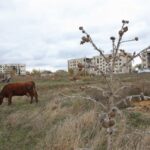 Скасовано селища міського типу: населені пункти понад 10 тисяч мешканців стануть містами