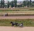 Перегони рисистих коней на Київському іподромі (+ фото, відео)