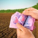 Як отримати пільгу на сплату земельного податку